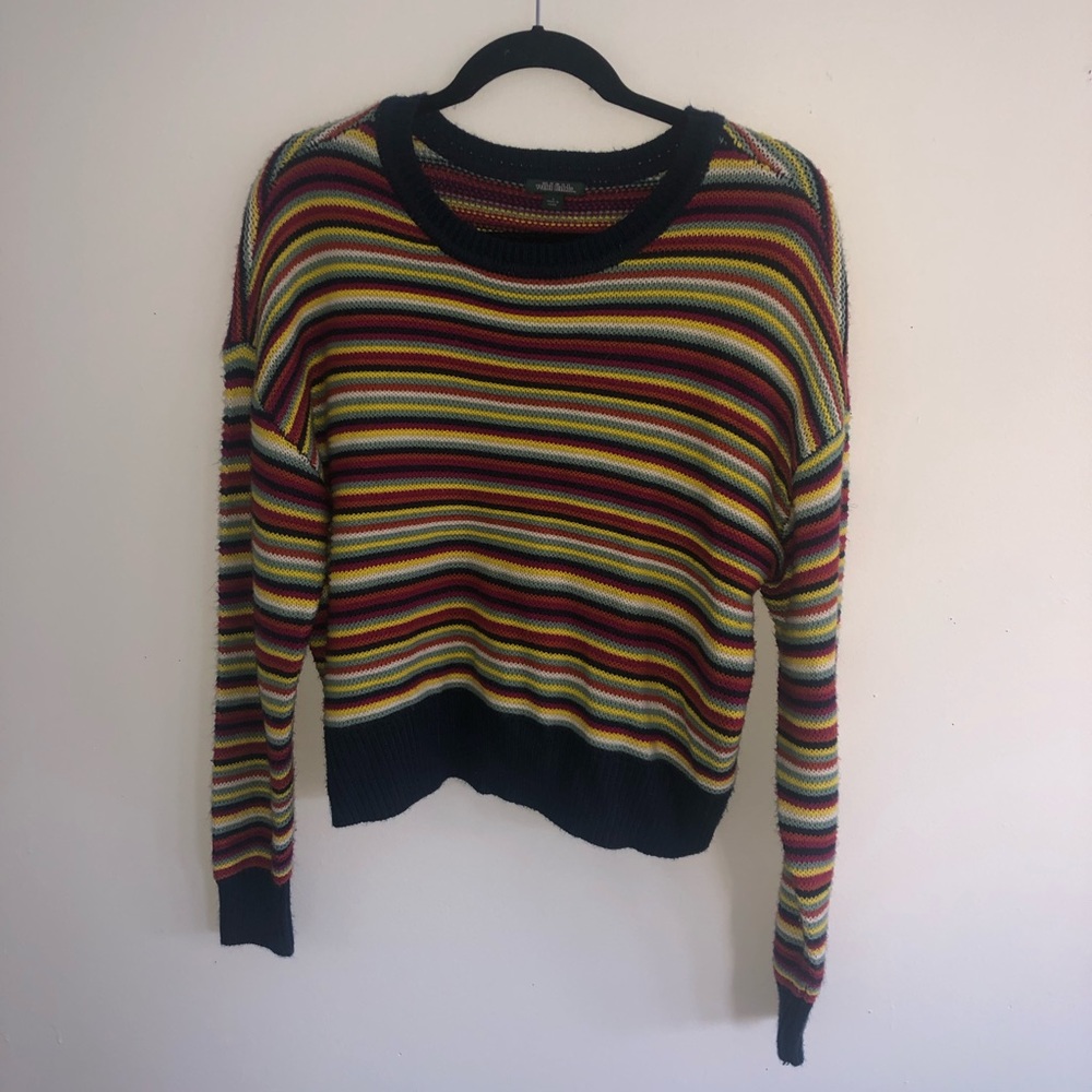 Stripped Wild Fable Sweater
